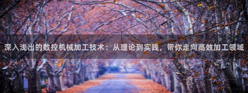 天辰娱乐简介:深入浅出的数控机械加工技术:从理论到实践,带你走向高效加工领域