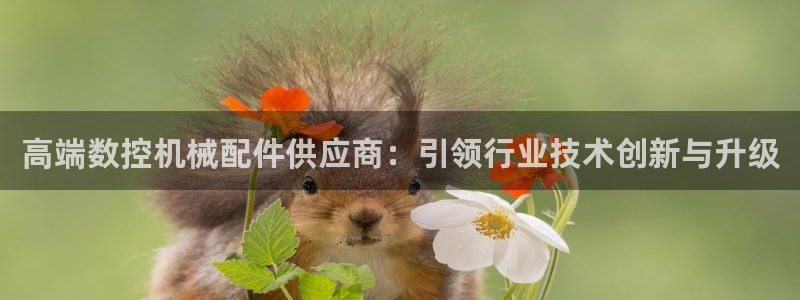 广东天辰娱乐:高端数控机械配件供应商:引领行业技术创新与升级