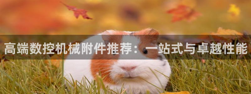 徐州天辰娱乐:高端数控机械附件推荐:一站式与卓越性能