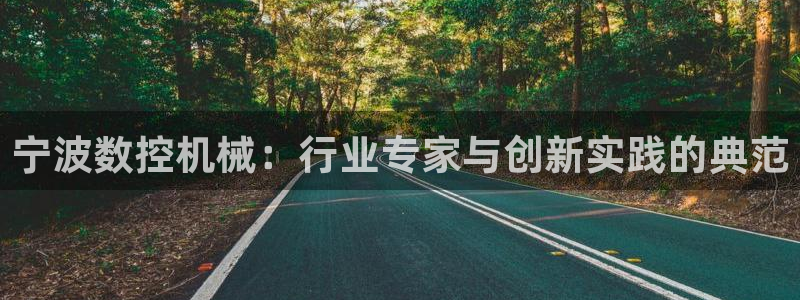 常州天辰娱乐:宁波数控机械:行业专家与创新实践的典范
