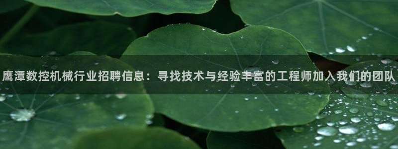 天辰娱乐老板:鹰潭数控机械行业招聘信息:寻找技术与经验丰富的工程师加入我们的团队