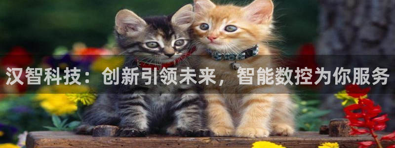 天辰娱乐视频:汉智科技:创新引领未来,智能数控为你服务