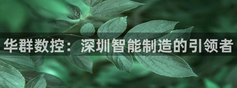 天辰娱乐53551:华群数控:深圳智能制造的引领者