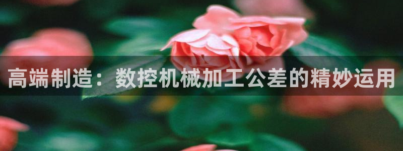 天辰娱乐路线:高端制造:数控机械加工公差的精妙运用