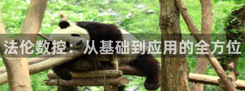 天辰娱乐主页:法伦数控:从基础到应用的全方位