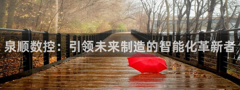 天辰娱乐总管年薪:泉顺数控:引领未来制造的智能化革新者