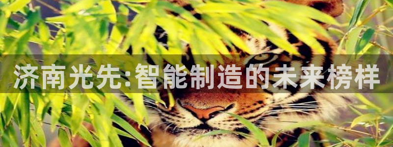 天辰娱乐主页:济南光先:智能制造的未来榜样