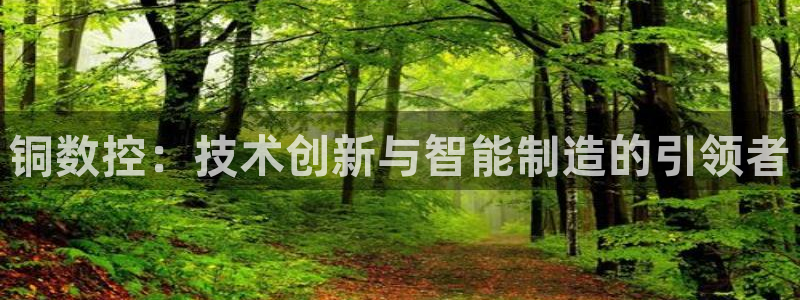 天辰娱乐平台地址:铜数控:技术创新与智能制造的引领者